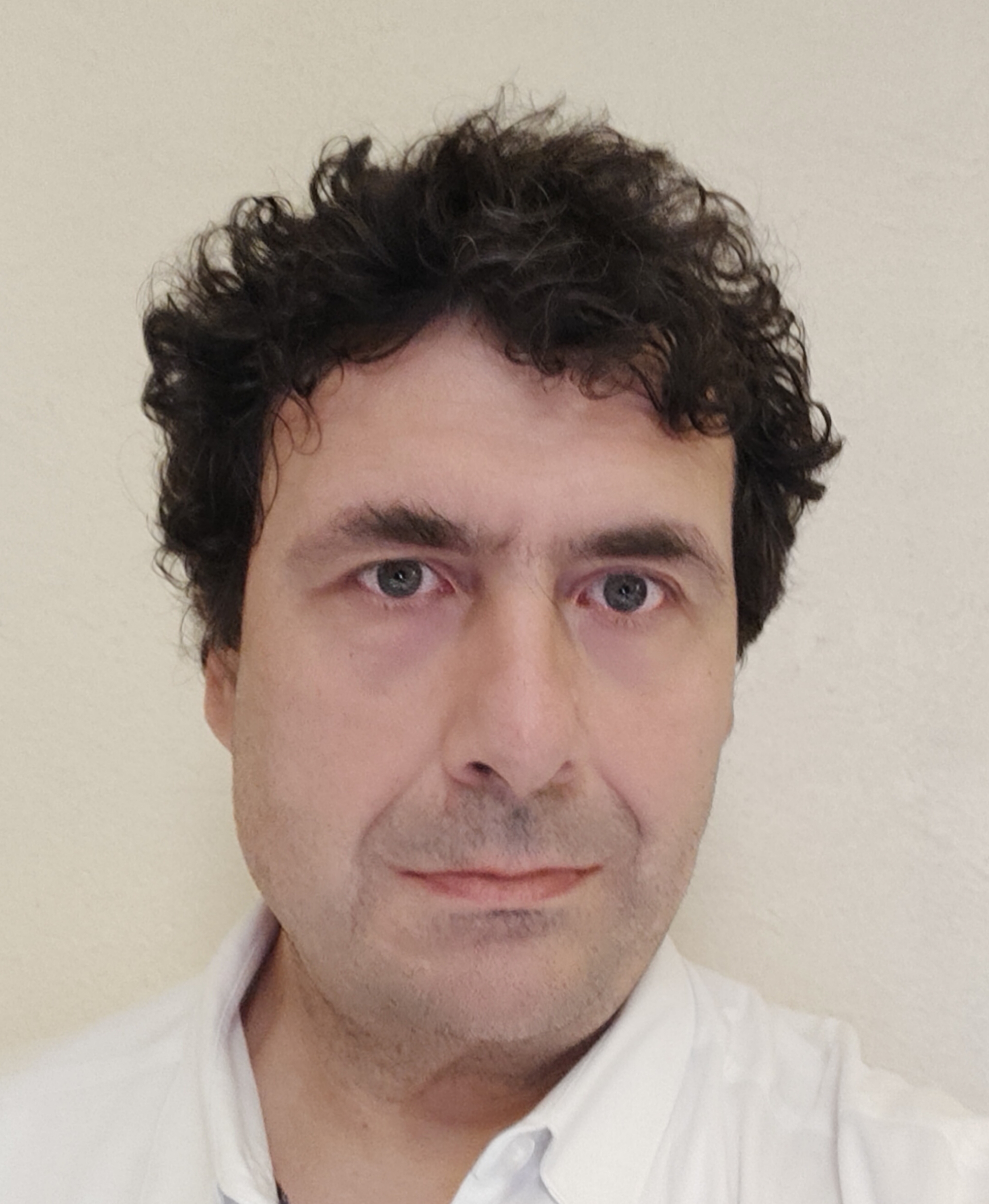 
            Luigi Gervasi

       - 
            Business Process &amp; IT Transformation

      
